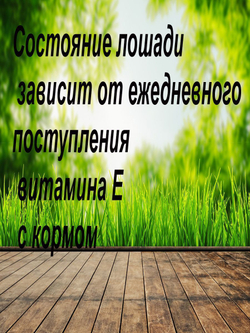 Льняное масло витамины Е селен для лошадей