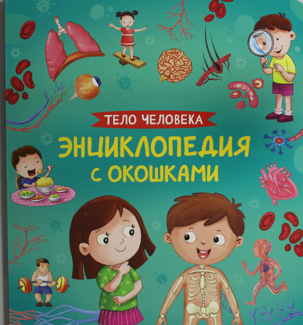 Тело человека. Энциклопедия с окошками