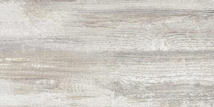 Керамогранит AntaresGT серый 30x60 GT225VG