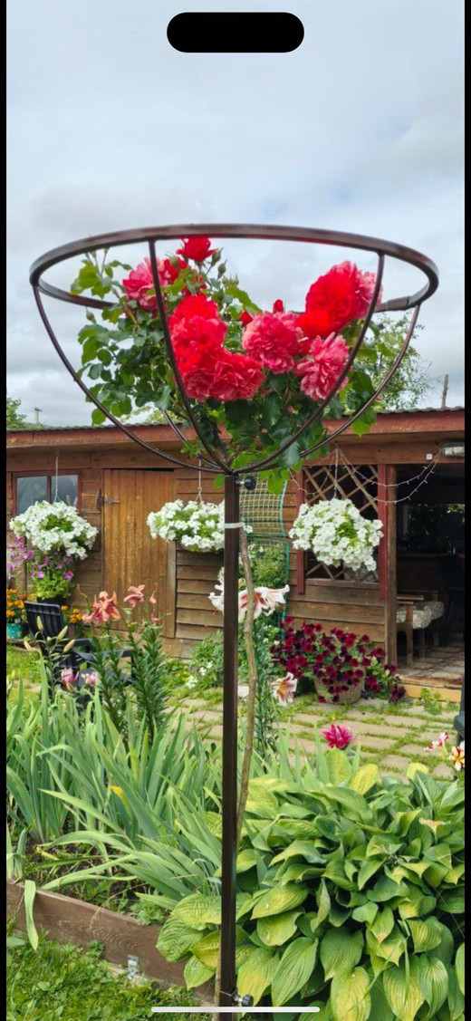 Садовая опора для штамбовых растений 1шт от 80 до 120 Закупка М27 получение апрель 2026