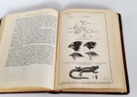 "Собрание сочинений.  В четырех томах."  Ч.Р.Дарвин. 1901 г.