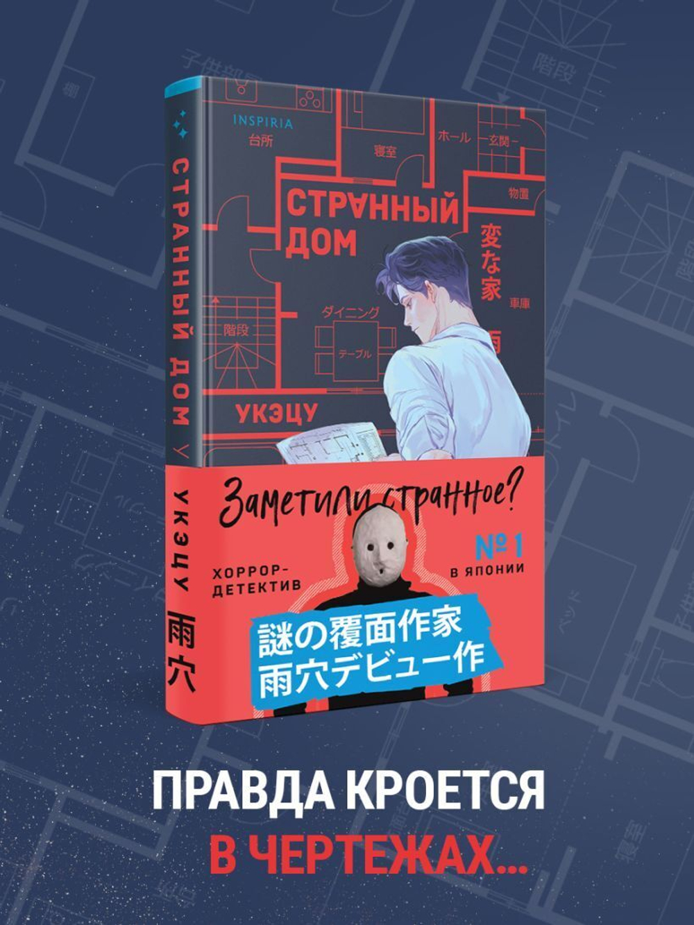 Странный дом (Книга)