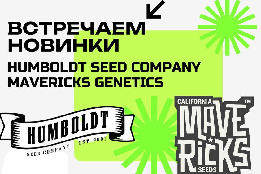 ВСТРЕЧАЙТЕ НОВИНКИ ИЗ АМЕРИКИ!