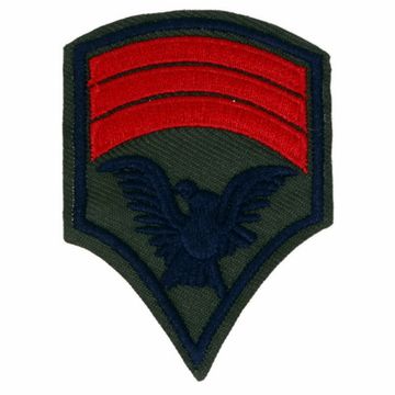 Нашивка Знак отличия (320)