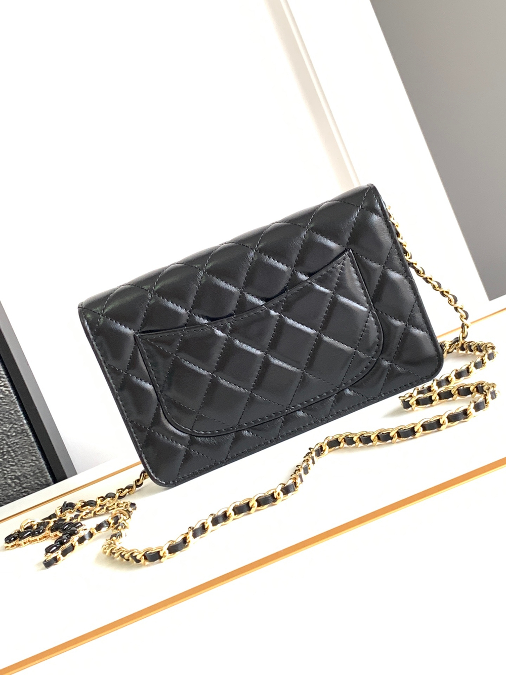Chanel Woc 19 cm