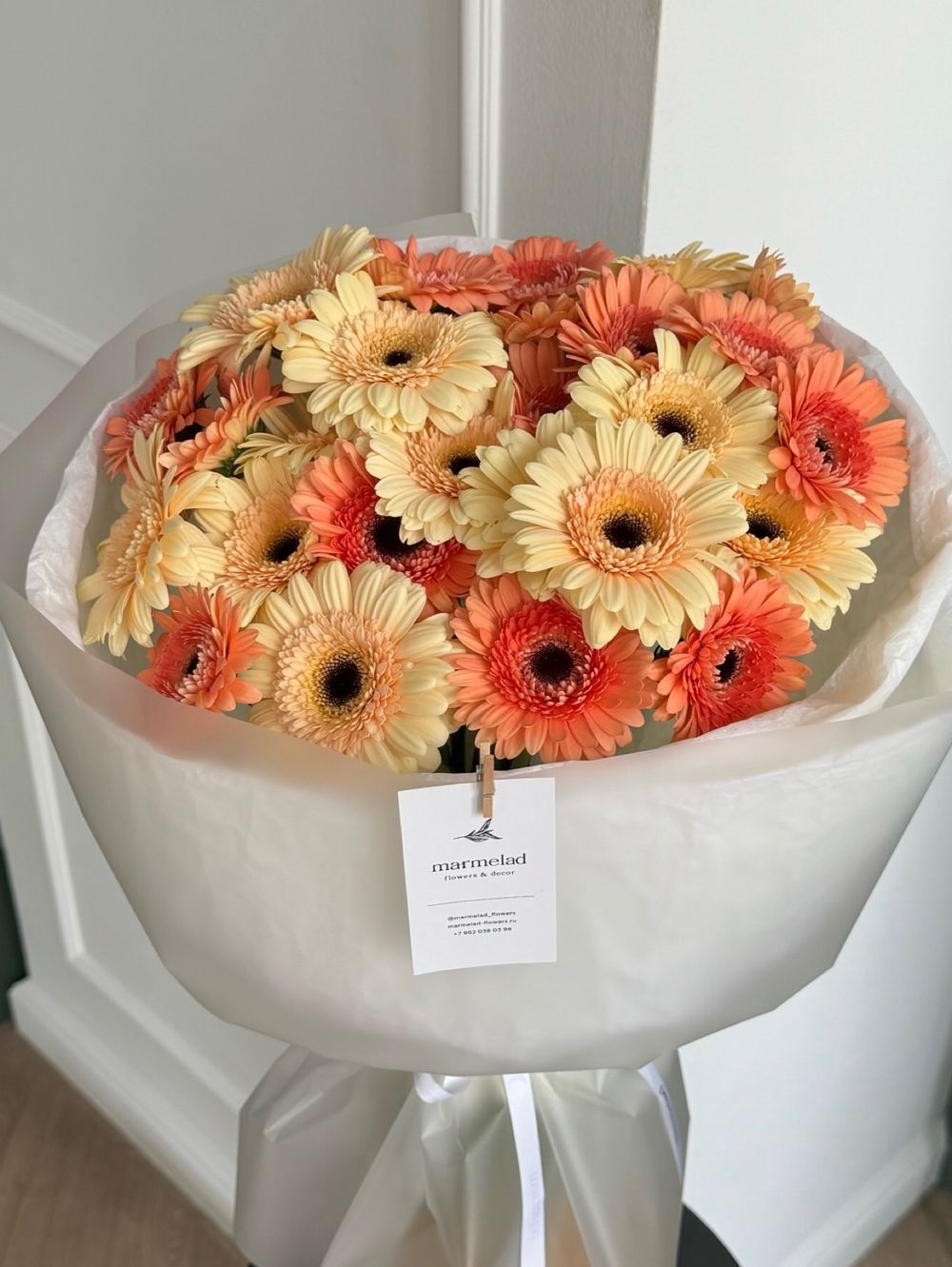 Букет из 25 минигербер кремовых оттенков