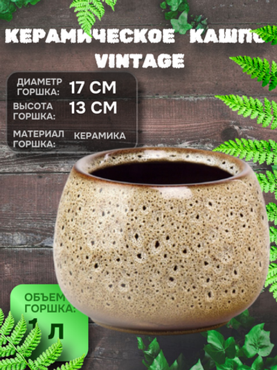 05.344.17 Кашпо Vintage d17; h13 см бежевый