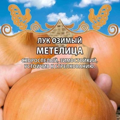Лук озимый Метелица