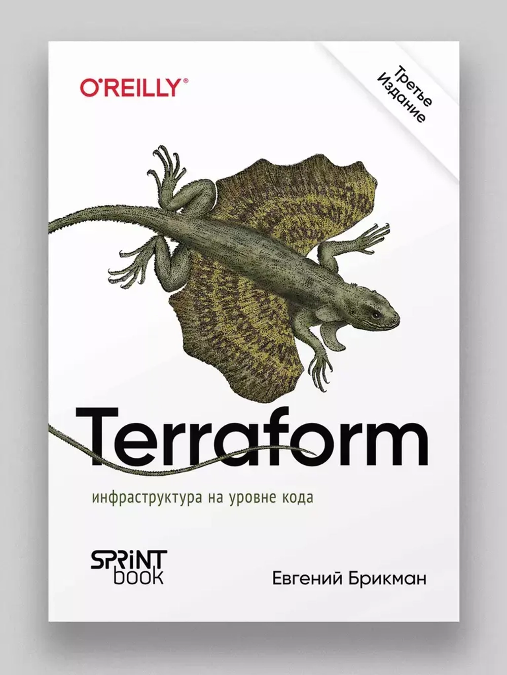 Книга: Брикман Е. "Terraform: инфраструктура на уровне кода. 3-е межд. изд"