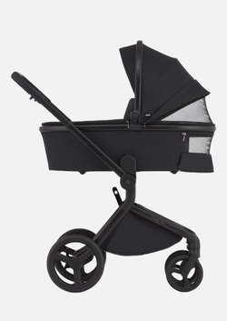 Anex Детская коляска Flo 2 в 1 Lungo