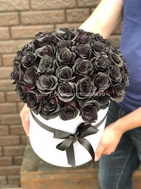 51 черная роза в коробке