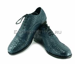 Мужские туфли из кожи питона SH-117