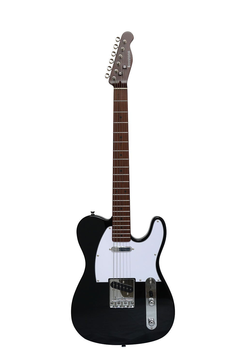 seg_tg-03_bk_(1).png