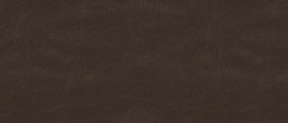 Искусственная кожа Nevada (Невада) 24