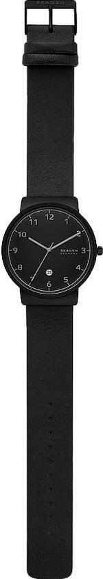 Мужские наручные часы Skagen SKW6567