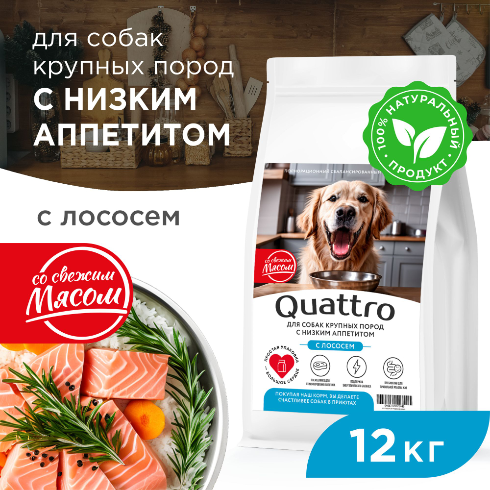 Корм сухой для взрослых собак крупных пород, премиум полнорационный комплекс, для собак с низким аппетитом, с лососем, 12 кг, QUATTRO