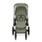 Детская коляска Cybex Priam V Style 2 в 1 Sage Green