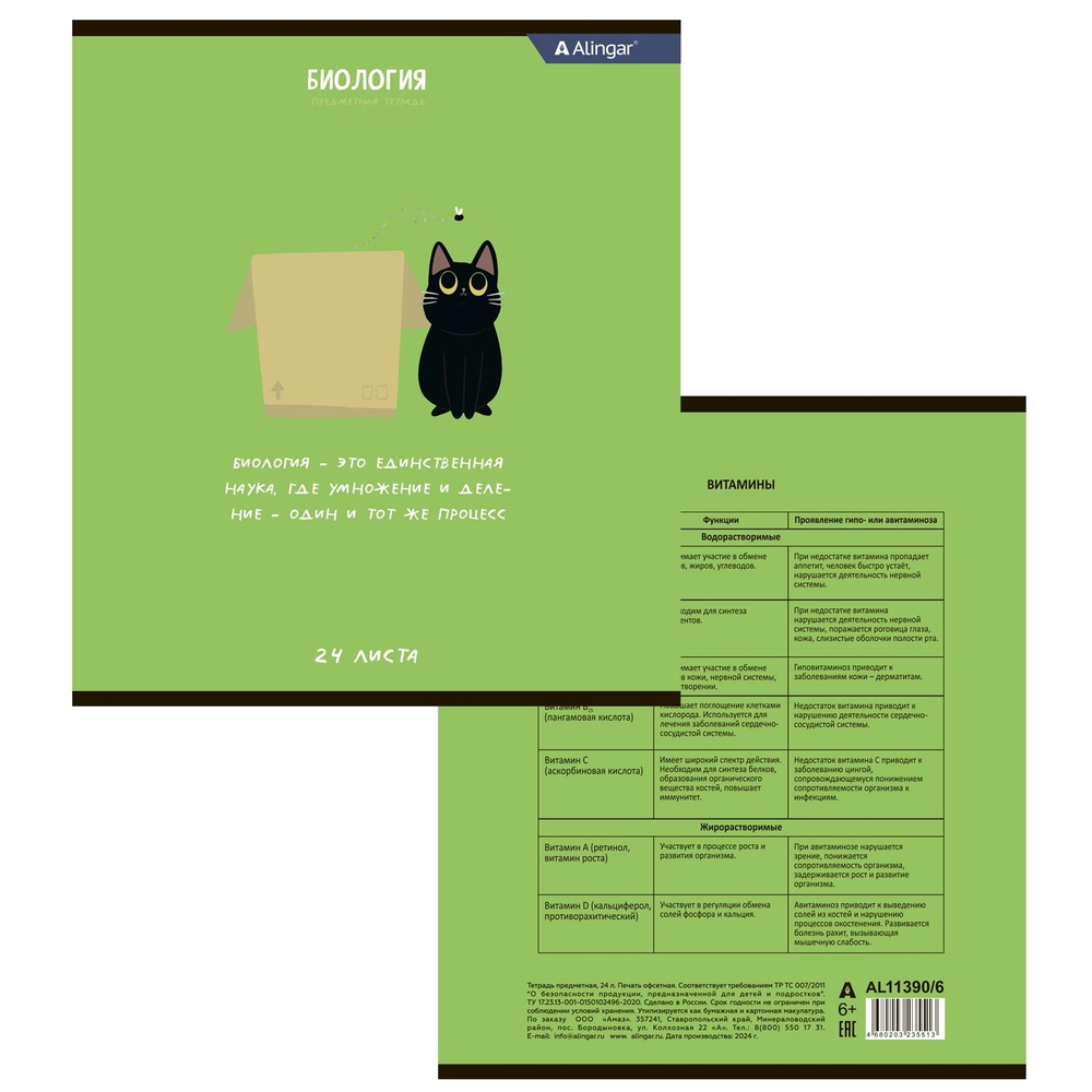 Комплект предметных тетрадей А5 24л., 8 предметов, со справочным материалом, скрепка, мелованный картон (стандарт), блок офсет, Alingar "Чёрный котик"
