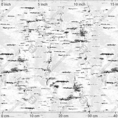 Берёзовая Кора by KateVasilchenko 306 DPI
