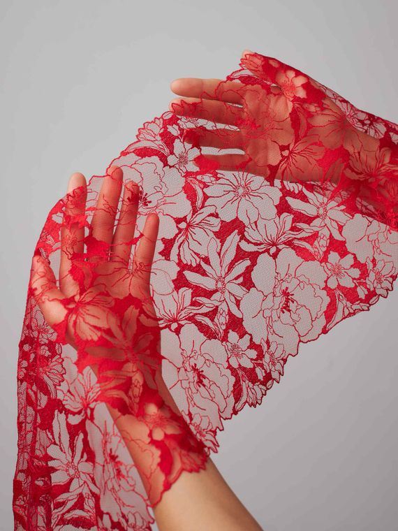 05-98 Вышивка на неэл. сетке 23 см, красный