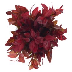 GAEM Цветочная композиция, L12 W12 H20 см, 4в.