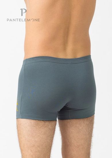 Трусы мужские боксеры Pantelemone PMH-1351, серо-зеленый
