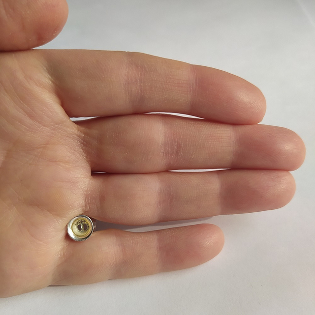 Плага для уха серебряная со стопами