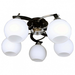 Накладная люстра Omnilux OML-25407-05