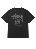 Мужская Футболка Basic Stussy Pig. Dyed