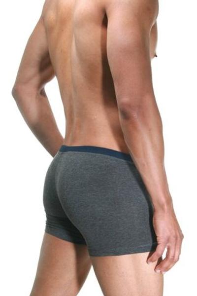 Серо-синие трусы-боксеры со вставками Doreanse Supporters Boxer (Размер: M) (Цвет: серый с синим)
