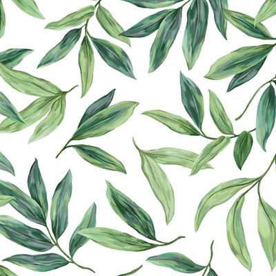 Зеленые листья на белом фоне