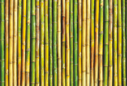 Коллекция Текстуры и фактуры