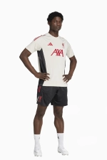 Шорты adidas Liverpool FC 25/26 Competition Training - красный