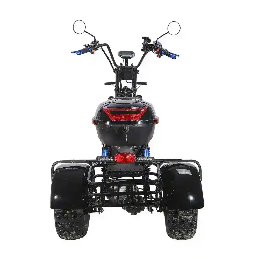 Электроскутер SKYBOARD CITYCOCO TRIKE BR40-3000 PRO FAST OFF-ROAD
