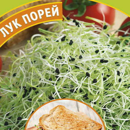 Микрозелень Лук порей 2,5г Ц Гавриш