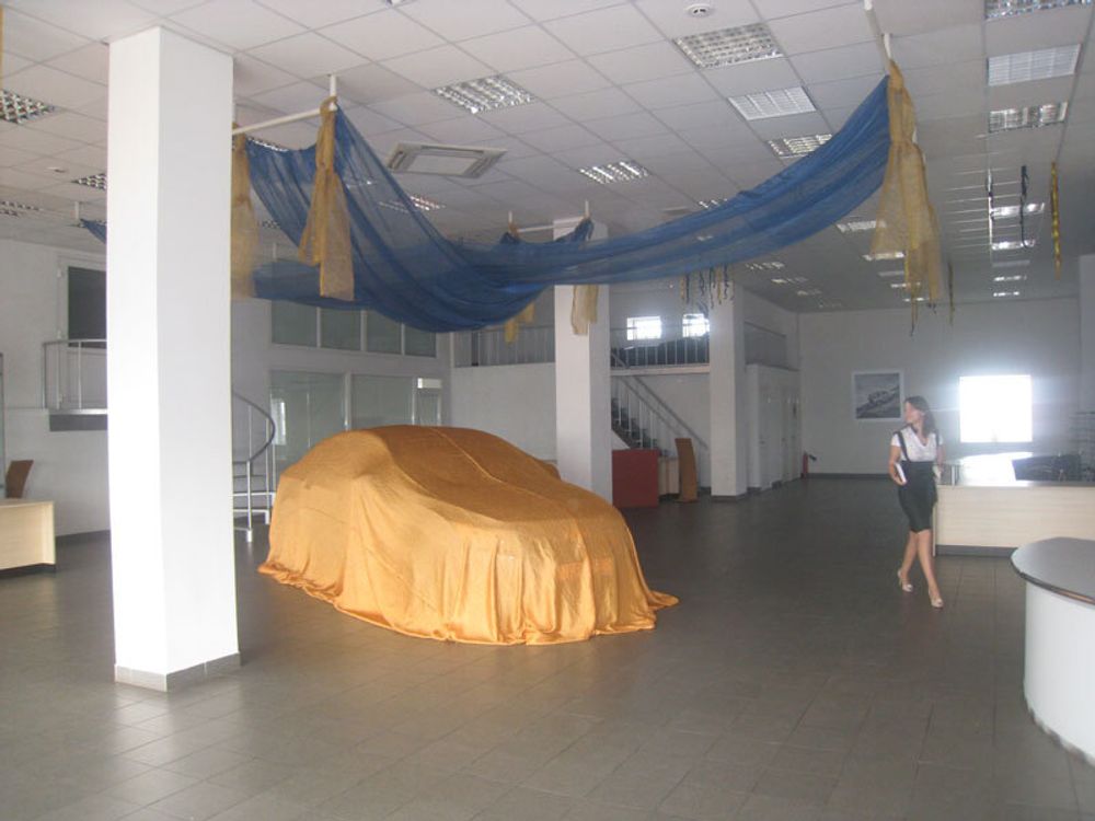 Оформление воздушными шарами презентаций и выставок