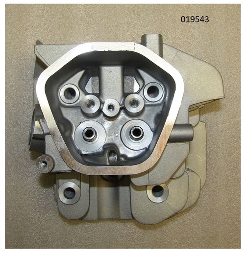 Головка блока цилиндра бензинового двигателя (седла+втулки) S460/LB190/Cylinder head comp