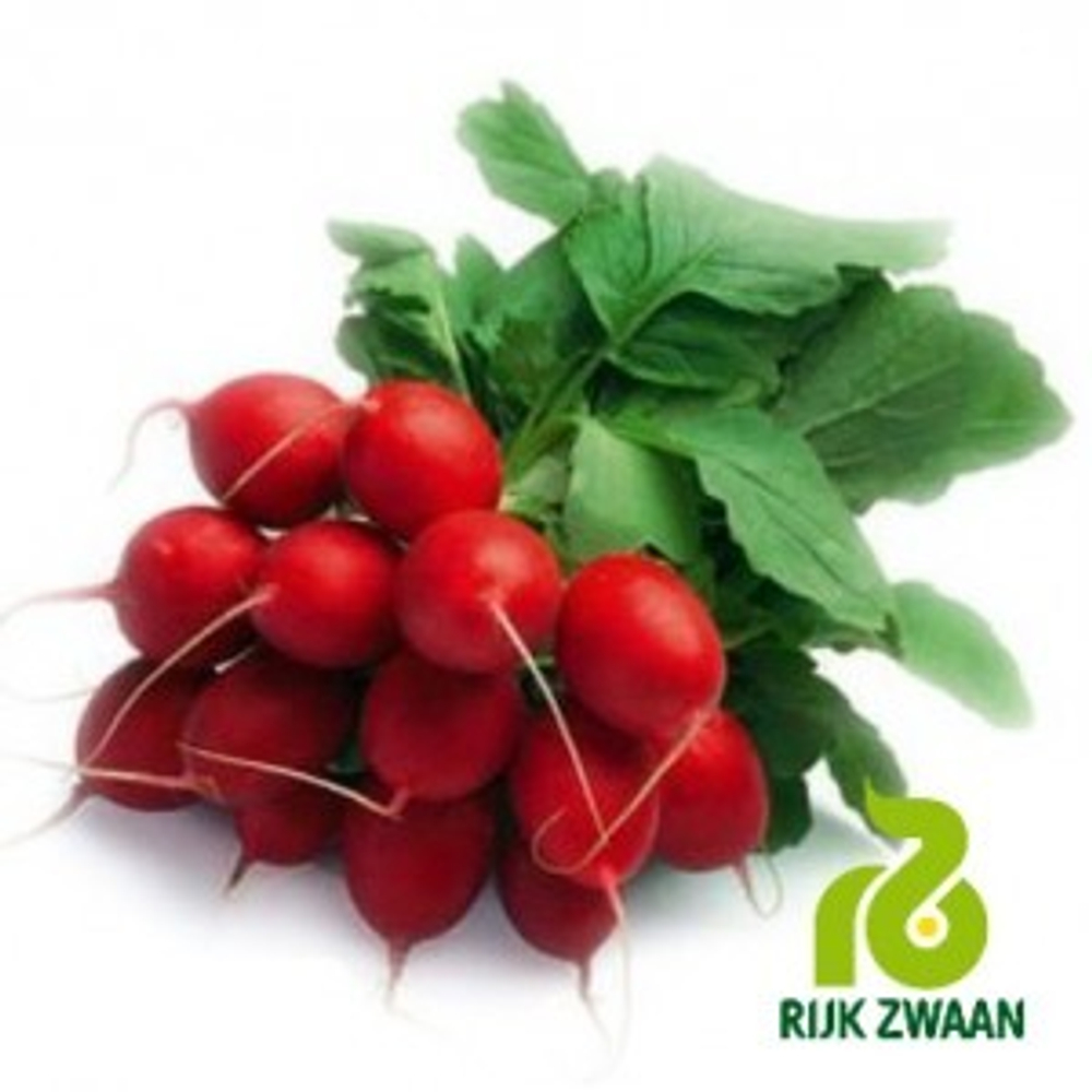 Редис Рондеел (10гр) Витагрин Профи