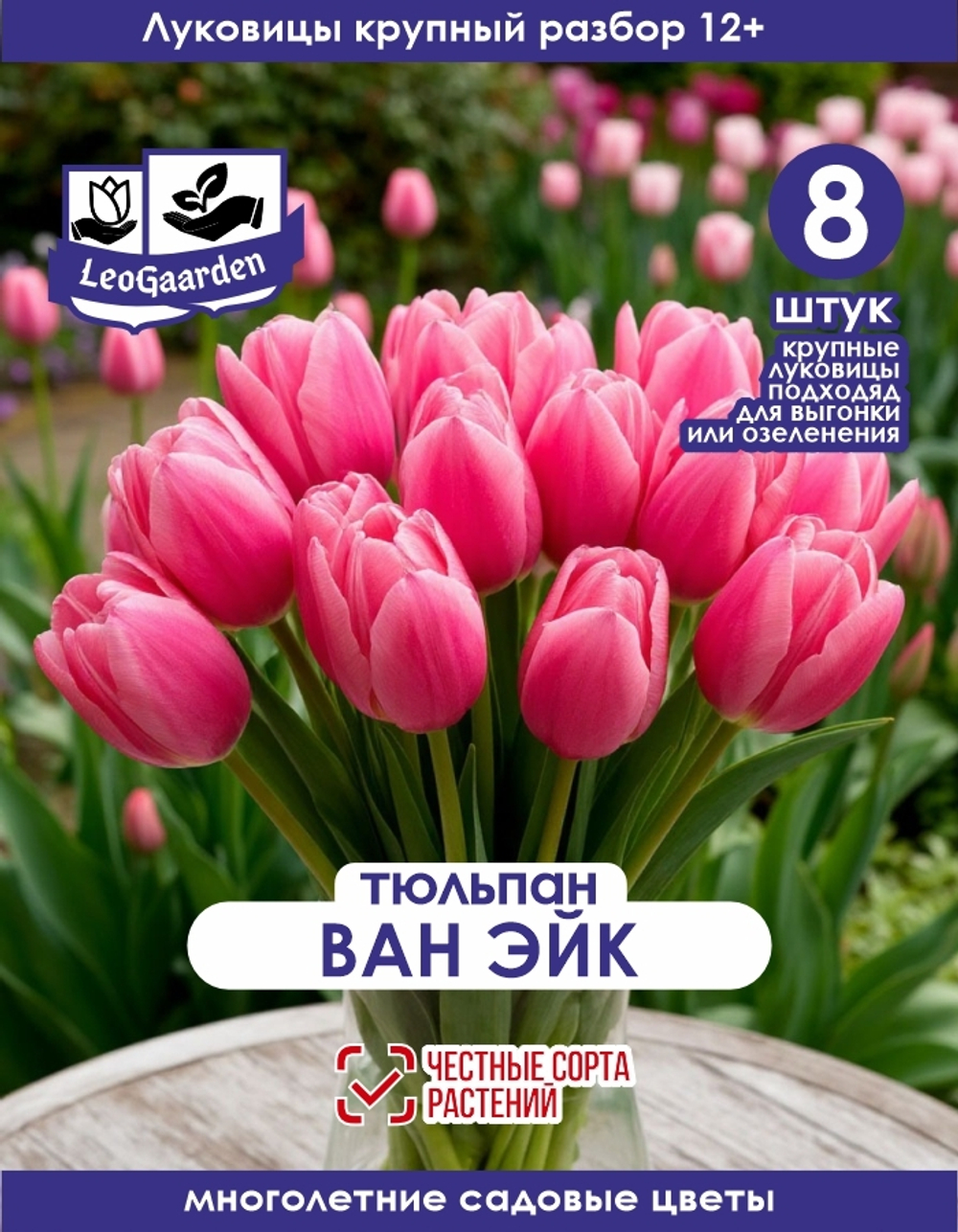Тюльпан Луковица, Ван Эйк 8шт, разбор 12+