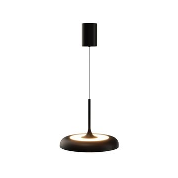 Подвесной светильник Maytoni MOD189PL-L39B3K