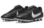Кроссовки Nike Premier3 Fg