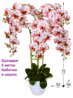 Искусственные Орхидеи 5 веток бабочка 75см в кашпо