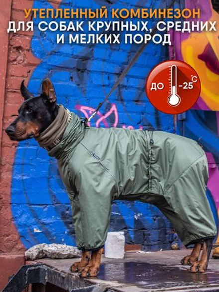 Утепленный комбинезон для собак мелких и средних пород Монморанси, цвет хаки, S2