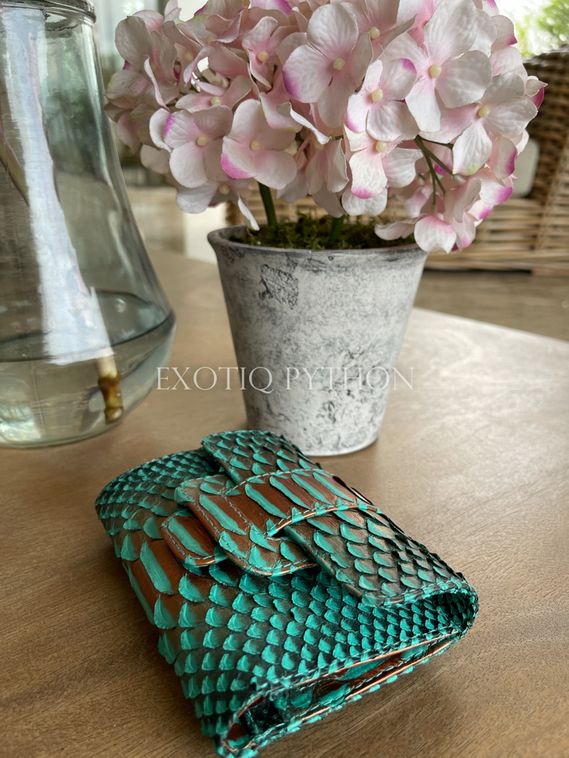 Кошелёк из кожи питона WA-134