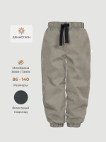 Брюки демисезонные на флисе Mjölk Fossil