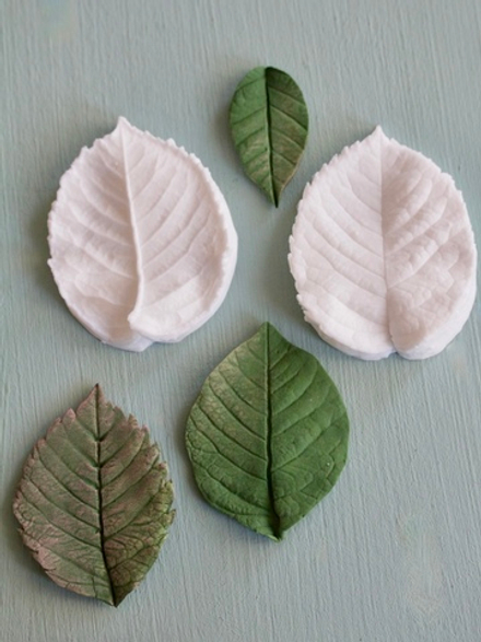 Вайнер лист универсальный для Розы