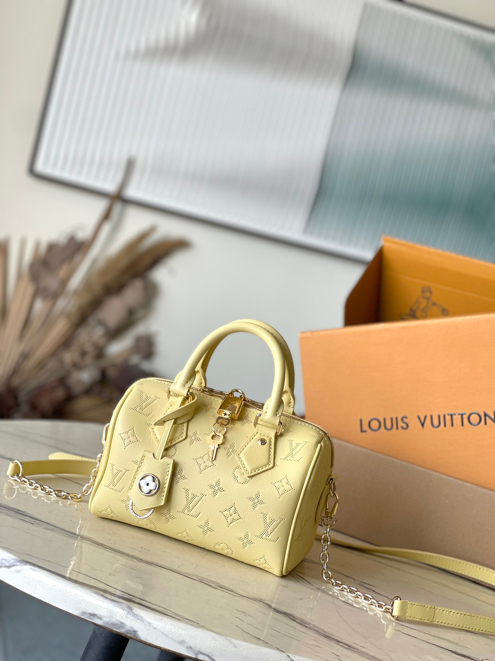 Louis Vuitton Speedy 20