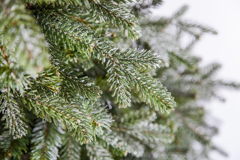 Ель 155см Black Box Хрустальная заснеженная