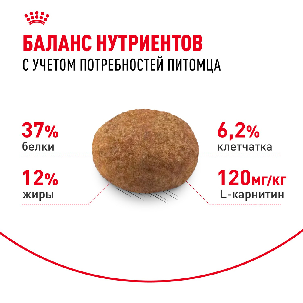 Royal Canin Sterilised 37 Стерилайзд Корм сухой для взрослых стерилизованных кошек в возрасте от 1 года до 7 лет 4кг
