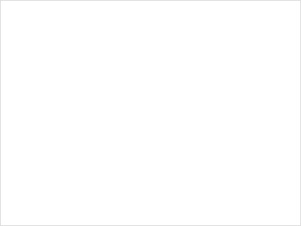 Велоперчатки Green XXL (13223-004-XXL)